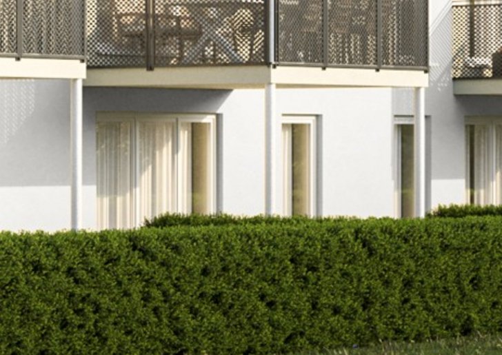 Bild 2: 3-Zi-Wohnung (EG) mit Terrasse und Gartenanteil Bild 2: 3-Zi-Wohnung (EG) mit Terrasse und Gartenanteil